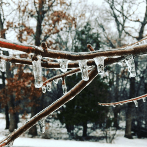 Waiting for sunshine to make the world sparkle